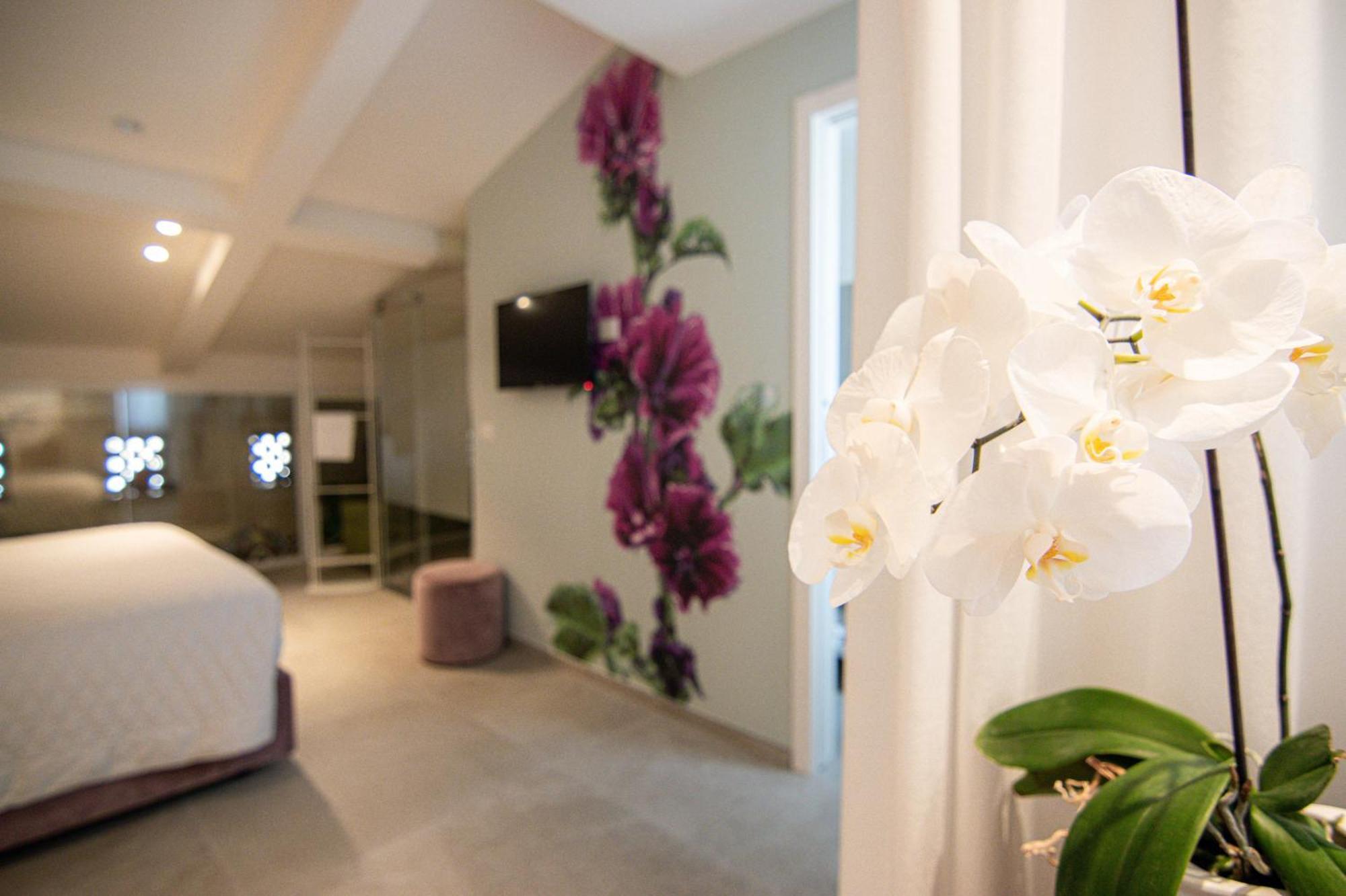 מטרה Profumi Di Primavera Luxury Rooms & Suite מראה חיצוני תמונה